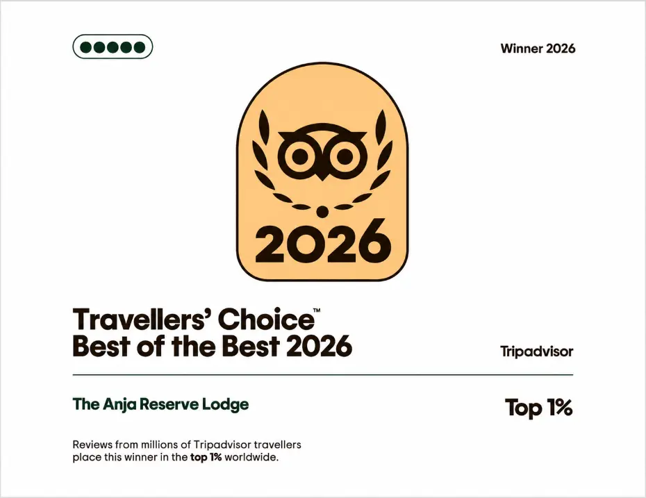 Trophée Tripadvisor Best of the Best 2026 décerné à The Anja Reserve Lodge à Madagascar, classé dans le top 1 % mondial Tripadvisor