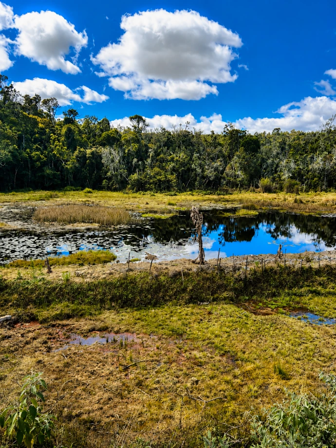 Étang bordé par la forêt humide d’Ankazomivady dans les Hautes Terres de Madagascar